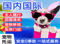 鄂托克旗乌兰航空邮寄国际宠物托运 【国